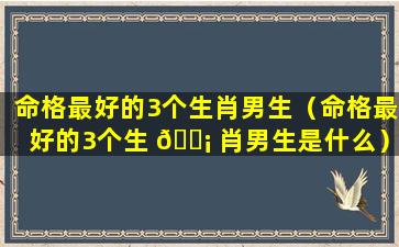 命格最好的3个生肖男生（命格最好的3个生 🐡 肖男生是什么）